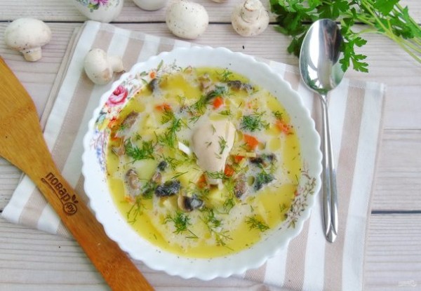 Сливочный суп с курицей и шампиньонами Сливочный суп с курицей и шампиньонами