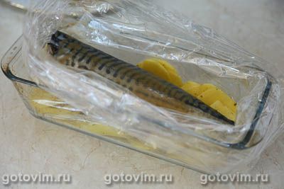 Скумбрия с картошкой в духовке (запеченная в рукаве) Скумбрия с картошкой в духовке (запеченная в рукаве)