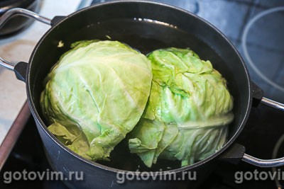Молодая капуста, запеченная в духовке Молодая капуста, запеченная в духовке