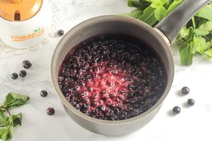 Силт из чёрной смородины Силт из чёрной смородины