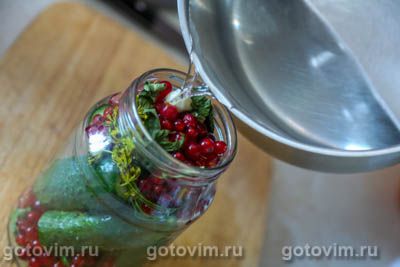 Огурцы с красной смородиной