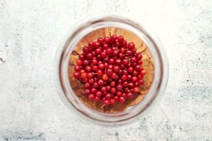 Компот из черемухи и вишни на зиму Компот из черемухи и вишни на зиму