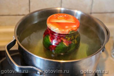 Огурцы с красной смородиной