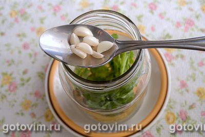 Квашеные огурцы с кинзой на зиму Квашеные огурцы с кинзой на зиму