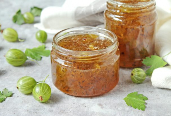 Варенье из крыжовника для диабетиков Варенье из крыжовника для диабетиков