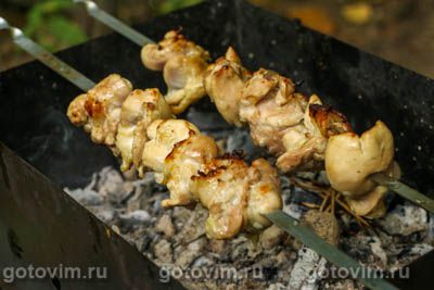 Шашлык из курицы с уксусом Шашлык из курицы с уксусом